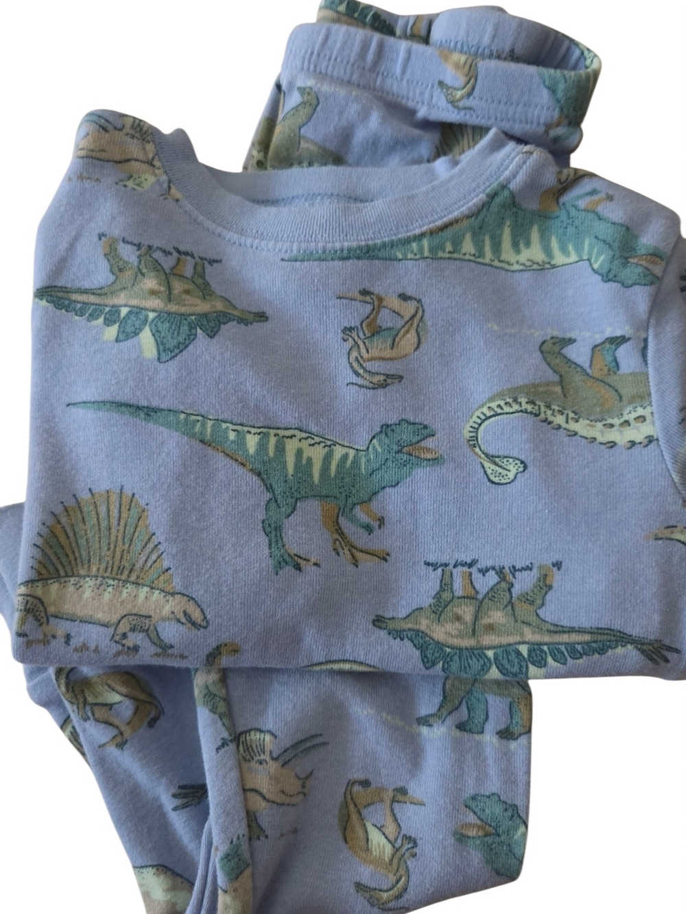 Carter's Light Blue Dinosaur Pajama Set